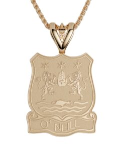 Shield Coat of Arms Pendant Chain